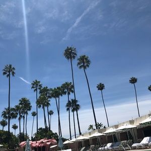 Meet your Posher, Lily